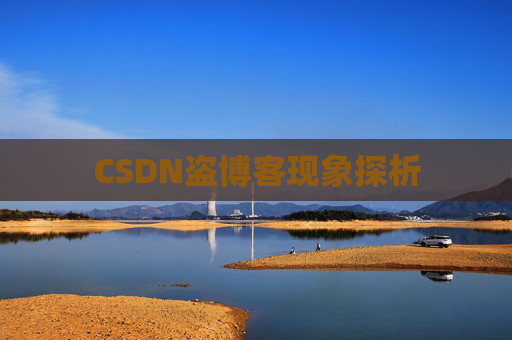 CSDN盗博客现象探析 CSDN盗博客现象探析